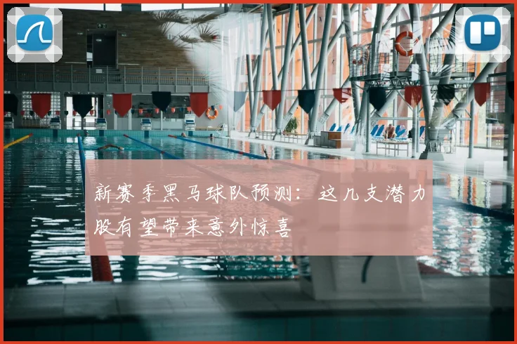 新赛季黑马球队预测:这几支潜力股有望带来意外惊喜
